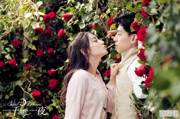 伧理片午夜伧理