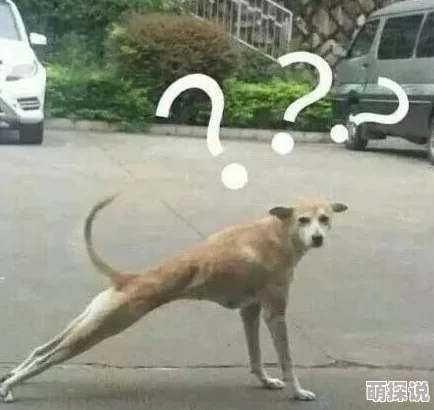 俄罗斯人又更又租牛子,看来他们的生活方式真是让人感到惊讶和好奇! 俄罗斯人又更又租牛子,看来他们的生活方式真是让人感到惊讶和好奇!