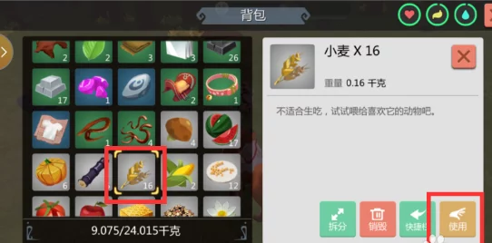 创造与魔法游戏攻略：揭秘水龟高效抓捕地点，必备饲料组合——三文鱼搭配鲶鱼