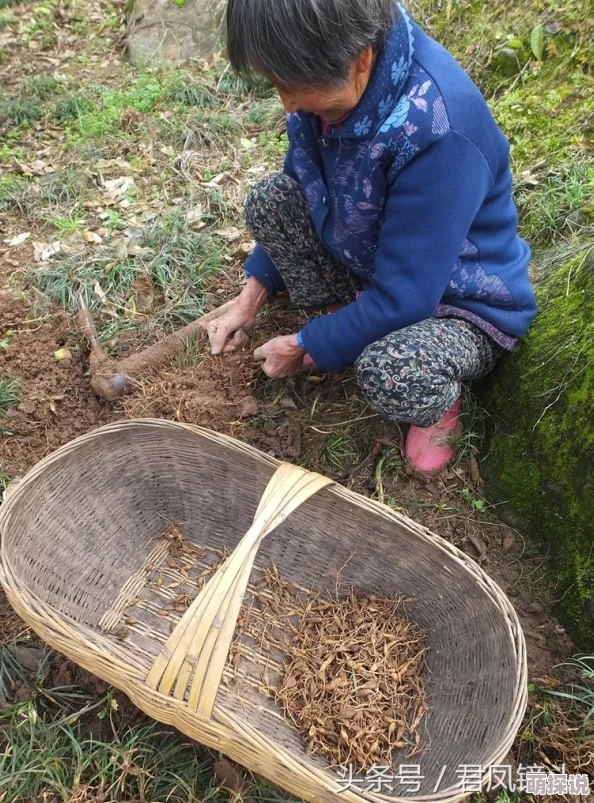 久操电影网：弘扬正能量，传播美好生活方式