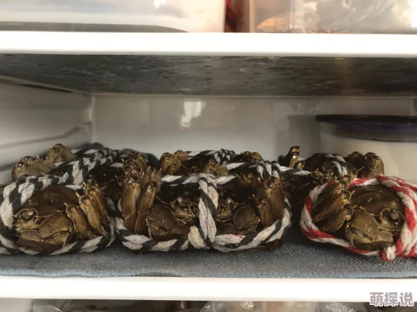 探索创造与魔法世界:大闸蟹位置分布全解析及美味食谱一览表 探索创造与魔法世界:大闸蟹位置分布全解析及美味食谱一览表