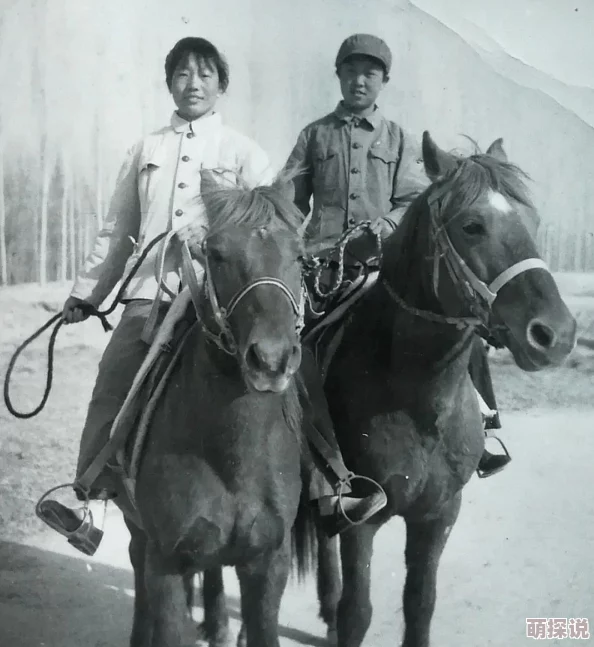 烈火如歌手游坐骑大盘点:深度解析,哪只坐骑才是你的最佳伙伴? 烈火如歌手游坐骑大盘点:深度解析,哪只坐骑才是你的最佳伙伴?