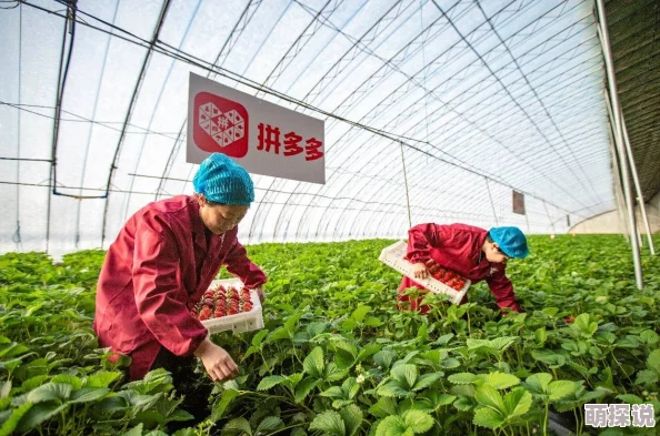 久久久久久青草大香综合精品网友推荐这是一款非常优质的产品无论是口感还是效果都让人满意值得一试 久久久久久青草大香综合精品网友推荐这是一款非常优质的产品无论是口感还是效果都让人满意值得一试