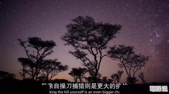 a级特黄的片子其实是指高品质的自然风光纪录片 a级特黄的片子其实是指高品质的自然风光纪录片