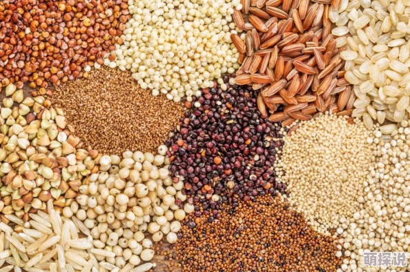 魔之谷新手必备：全面攻略大全及各特色玩法深度介绍指南