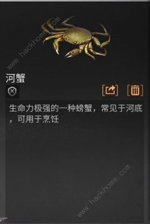 明日之后游戏攻略：探寻秋日森林螃蟹垂钓点，解锁高效获得螃蟹秘籍