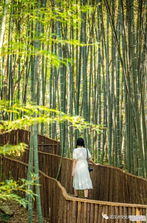 明日之后游戏攻略：如何成为探险专家及揭秘探险专家专属配方技巧