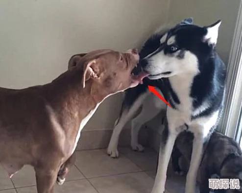 老师舔我下面小明在课堂上突然大喊,老师尴尬无语 老师舔我下面小明在课堂上突然大喊,老师尴尬无语