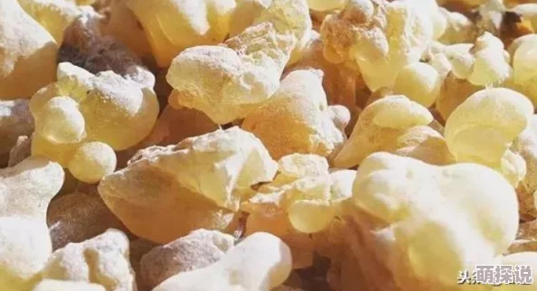 h高乳香诱人近日，科学家发现乳香有助于缓解焦虑情绪