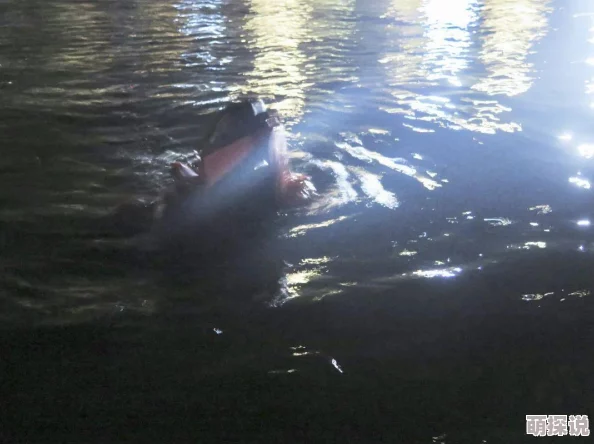 剑网3指尖江湖玩家必看：全面攻略教你如何高效获取体力值