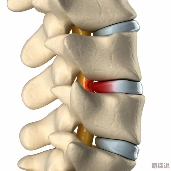 肉多到炸的年上骨科指的是肌肉发达的男性与年轻女性之间的恋爱关系