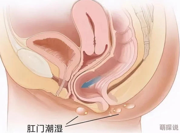 疼痛之轮10疼痛黑暗的心是指人类在面对极端痛苦时内心的挣扎与抗争 疼痛之轮10疼痛黑暗的心是指人类在面对极端痛苦时内心的挣扎与抗争