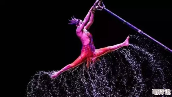 性懓杂技一种通过身体控制和技巧展示的艺术表演形式 性懓杂技一种通过身体控制和技巧展示的艺术表演形式