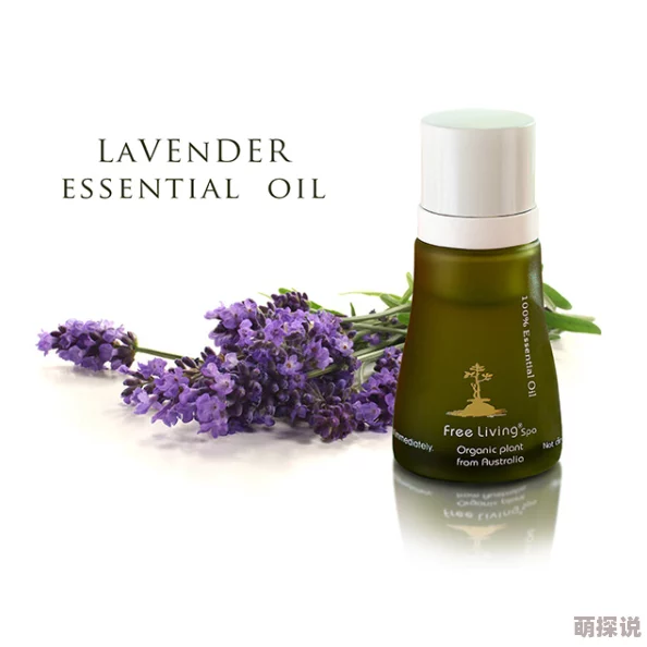 一区二区三区无码精油的作用精油可用于按摩、香薰等,帮助放松身心 一区二区三区无码精油的作用精油可用于按摩、香薰等,帮助放松身心