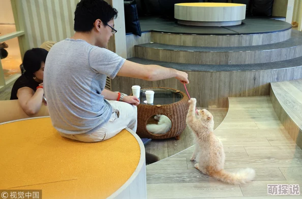 日本xxxxxxxx69东京新开业的猫咪咖啡馆吸引大量年轻人前往打卡体验 日本xxxxxxxx69东京新开业的猫咪咖啡馆吸引大量年轻人前往打卡体验