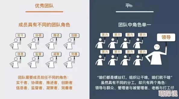 简的配队简与其团队成员的互动与合作关系