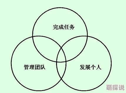 简的配队简与其团队成员的互动与合作关系