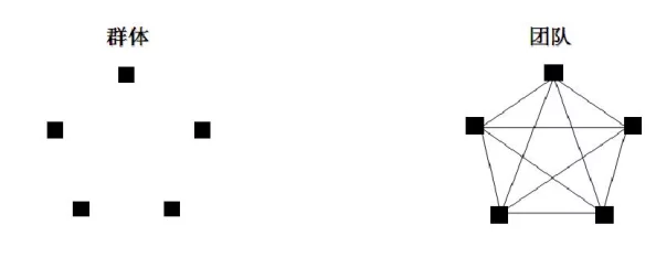 简的配队简与其团队成员的互动与合作关系