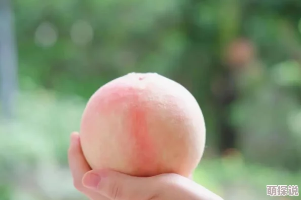 蜜桃熟了的夏日果香四溢，甜美诱人，真想一口咬下去
