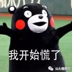 要灬要灬再深点受不了好舒服乌龙大家庭（国语版）