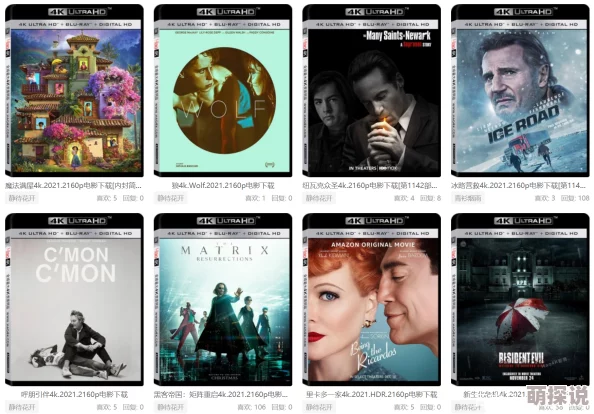 欧美毛片在线观看平台新增高清4K画质电影资源 欧美毛片在线观看平台新增高清4K画质电影资源