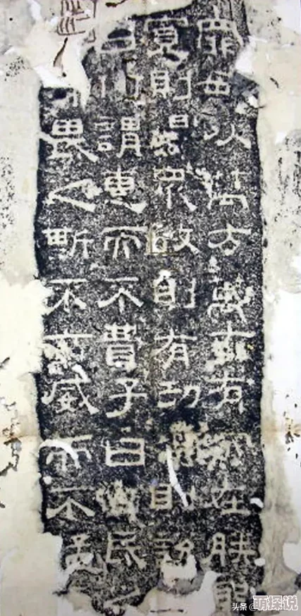 夜鲁夜鲁夜鲁视频在线观看春节期间推出特别版节目满足观众需求 夜鲁夜鲁夜鲁视频在线观看春节期间推出特别版节目满足观众需求