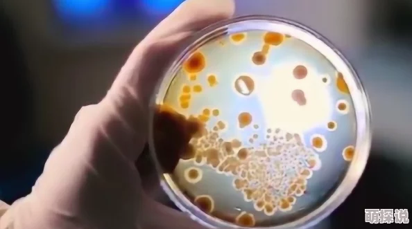 人类合约科学家发现新型细菌可降解塑料垃圾 人类合约科学家发现新型细菌可降解塑料垃圾