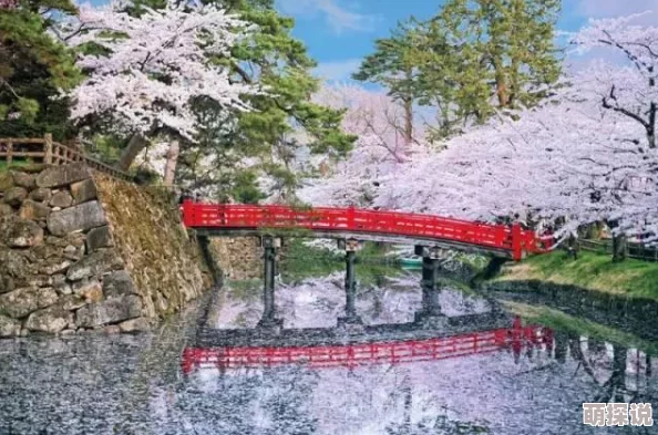 樱花视频日本赏樱季节将至各地纷纷准备迎接游客樱花盛开预计在三月底四月初达到最佳观赏期 樱花视频日本赏樱季节将至各地纷纷准备迎接游客樱花盛开预计在三月底四月初达到最佳观赏期