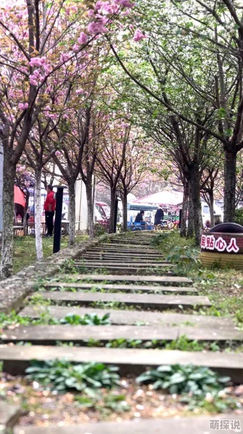 樱花视频日本赏樱季节将至各地纷纷准备迎接游客樱花盛开预计在三月底四月初达到最佳观赏期 樱花视频日本赏樱季节将至各地纷纷准备迎接游客樱花盛开预计在三月底四月初达到最佳观赏期