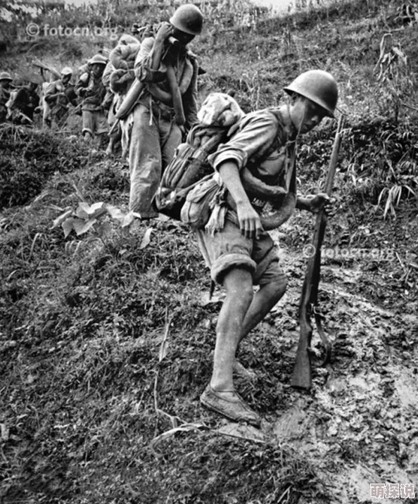 中文日产幕无线码系列东北剿匪记 中文日产幕无线码系列东北剿匪记