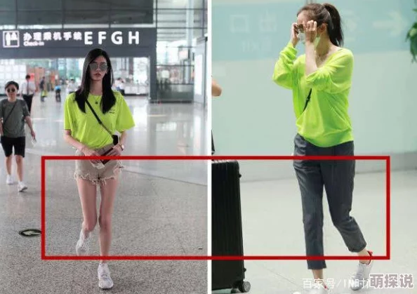 亲情会王芳高敏大团圆结彰显家庭和睦美满的温馨时刻 亲情会王芳高敏大团圆结彰显家庭和睦美满的温馨时刻