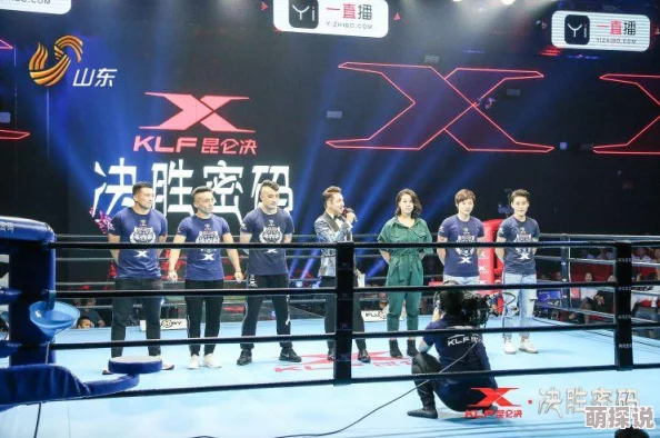 格斗宝贝全新升级：称号系统揭秘，解锁特殊称号大全独家攻略