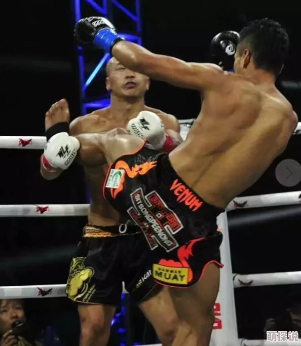 格斗宝贝全新升级：称号系统揭秘，解锁特殊称号大全独家攻略