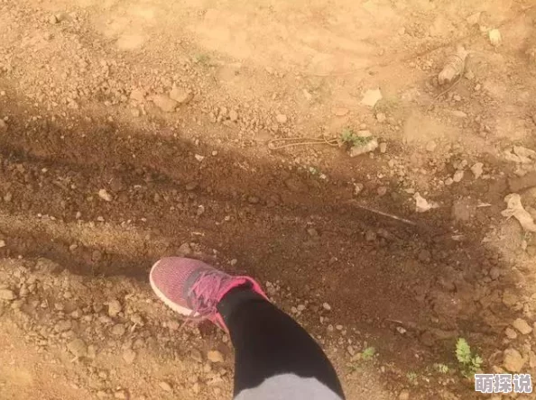 DNF惊喜揭秘：土妈身份大公开，竟是隐藏版超强辅助角色来袭！