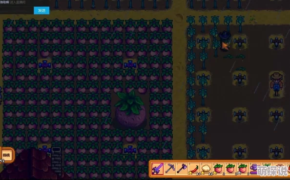 星露谷物语:甜瓜VS蓝莓,揭秘哪个更胜一筹?惊喜消息:两者结合种植效益最大化! 星露谷物语:甜瓜VS蓝莓,揭秘哪个更胜一筹?惊喜消息:两者结合种植效益最大化!