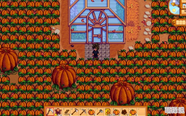 星露谷物语:甜瓜VS蓝莓,揭秘哪个更胜一筹?惊喜消息:两者结合种植效益最大化! 星露谷物语:甜瓜VS蓝莓,揭秘哪个更胜一筹?惊喜消息:两者结合种植效益最大化!