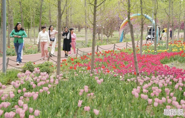 丁香激情六月天夏日花海绽放吸引游客纷至沓来