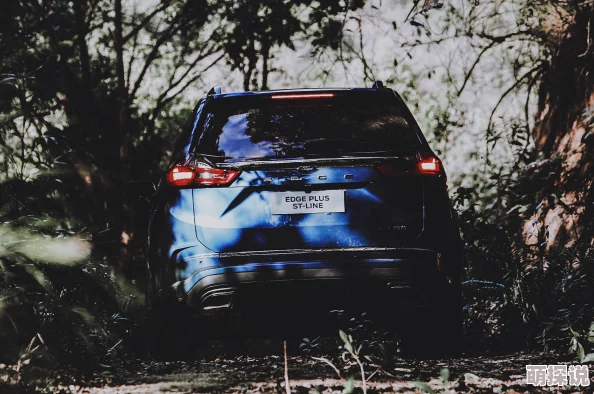 惊喜！DNF中哪个职业最适合佛系玩家？答案竟是这个冷门却超安逸的职业！