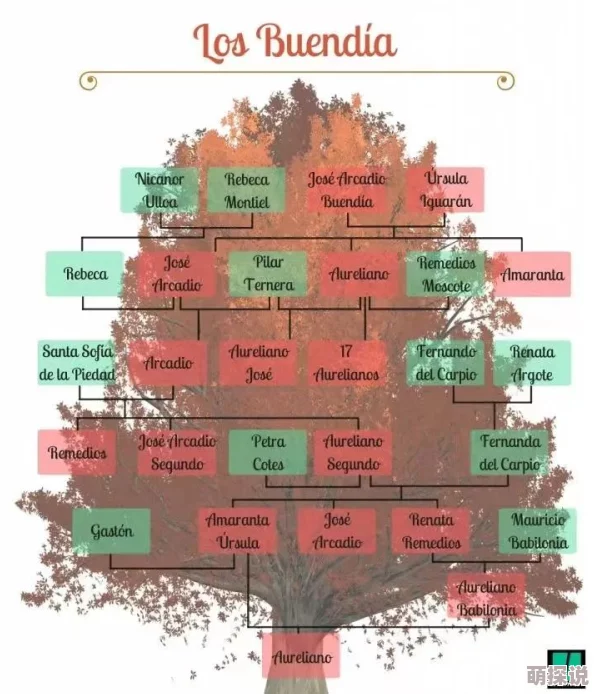 百年孤独家族百年祭奠仪式筹备中 百年孤独家族百年祭奠仪式筹备中