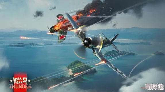 惊喜揭晓!战争雷霆中道尼尔系列哪款战机更胜一筹,独家评测来袭! 惊喜揭晓!战争雷霆中道尼尔系列哪款战机更胜一筹,独家评测来袭!