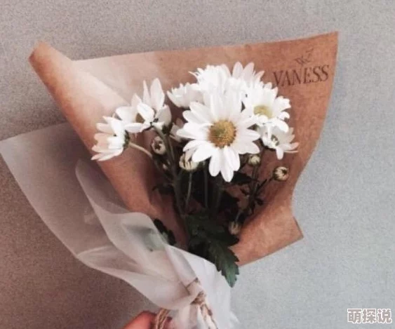 五月丁香六月婷婷久久花开花落又一载静待佳音