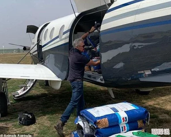 一个上面一个下边啃B进展顺利双方合作愉快啃食进度过半预计明日完工