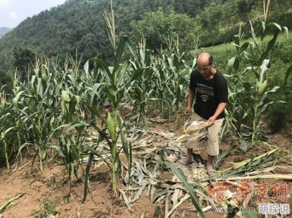 一个上面一个下边啃B进展顺利双方合作愉快啃食进度过半预计明日完工