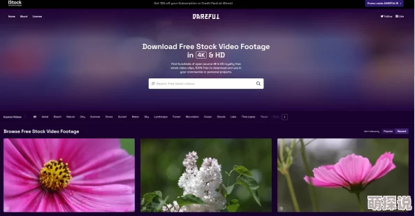 av毛片免费看最新高清资源已更新请及时观看
