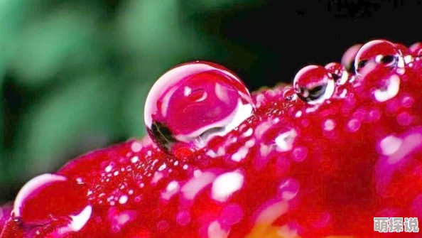 chinese国产hdsex水滴360榴花正红绽放生命的美好勇敢追梦迎接每一个新开始 chinese国产hdsex水滴360榴花正红绽放生命的美好勇敢追梦迎接每一个新开始