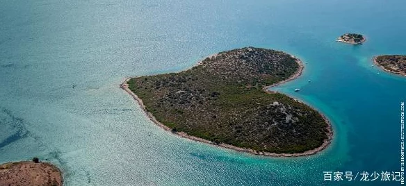 爱情岛论坛线路1用户访问已恢复线路二维护中预计今晚恢复