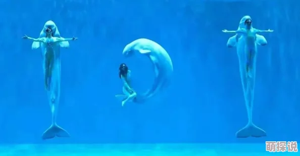 99精品欧美高清资源持续更新每日上新精彩不断 99精品欧美高清资源持续更新每日上新精彩不断