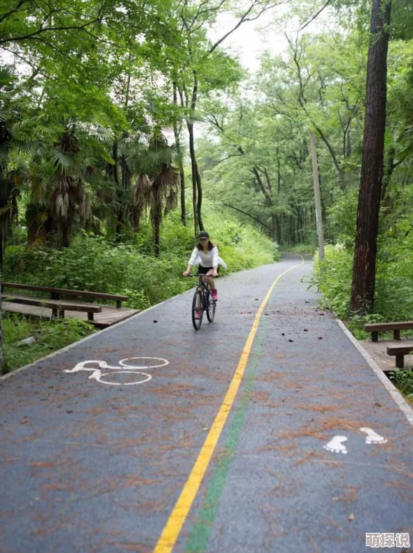 原始传奇打架职业大揭秘：惊喜消息！哪个职业竟成PK之王，颠覆你的想象！