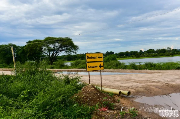 《三角洲行动》惊喜揭秘:鳄鱼现身哪个神秘地图?详尽位置大公开! 《三角洲行动》惊喜揭秘:鳄鱼现身哪个神秘地图?详尽位置大公开!