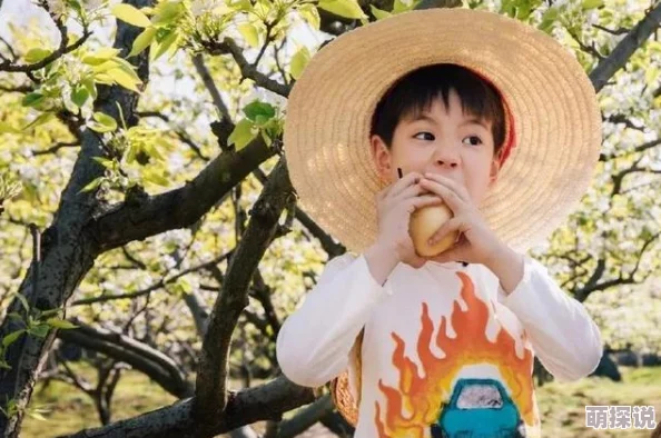 么公在果树林征服了我闺蜜四人行第二季携手共进勇敢追梦创造美好未来